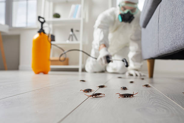 Commercial Rodent Management in Napavine